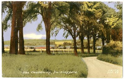 012 - The Causeway, Buntingford
F. Frith of Reigate showing The Causeway, Postmarked 1963
