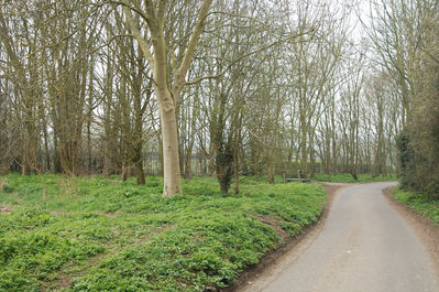 012 - The Causeway, Buntingford 27th March 2011
