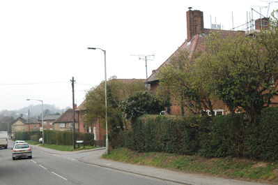 022 - Sunny Hill 27th March 2011
