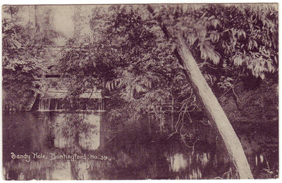 035 - Sandy Hollow, Buntingford
