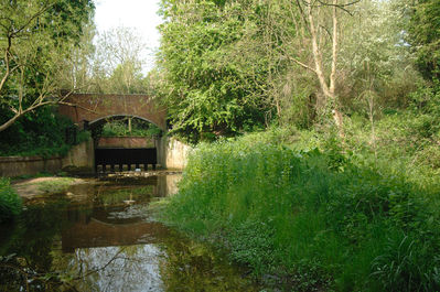 035 - Sandy Hollow, Buntingford 24th April 2011
