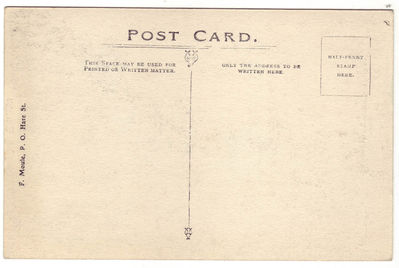 054 - rear
